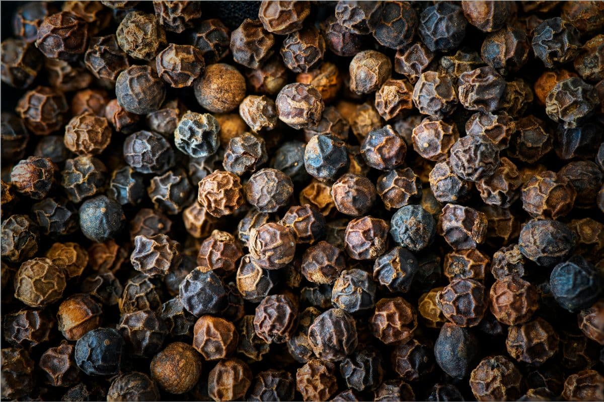 Black Pepper exported from India by VP Global Exim