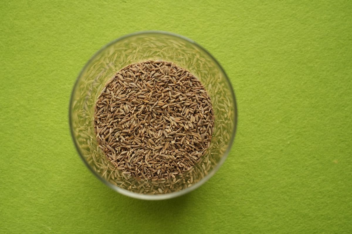 Cumin & Coriander exported from India by VP Global Exim