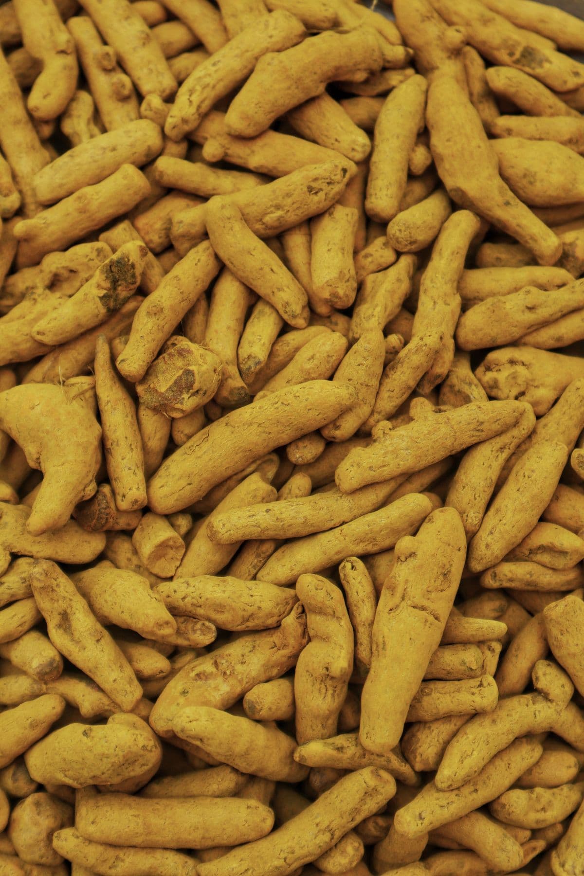 Turmeric exported from India by VP Global Exim